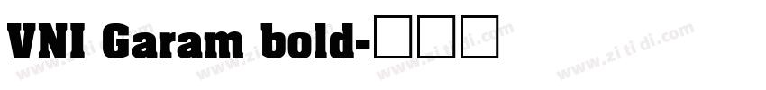 VNI Garam bold字体转换